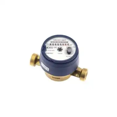 Wodomierz GSD8-RFM 1-2''AFQ3-1,6 M3-H DN 15 MID R100-R50 AM GSD8RFMF15110SQ31,6MIDR100-R50AM